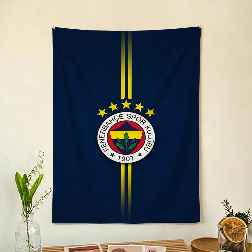 F-Fenerbahce Sport K-Kulubu Fl - огляд і ціна Outdoor Sport Background
